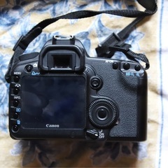 Canon 5D mark IIの画像