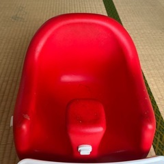 ベビーイスの画像