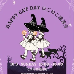 😸吾輩は子猫である😼inこすみ動物病院