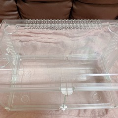 ハムスター　グラスハーモニー450の画像