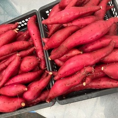 新物 【10月中旬より掘りたてを‼️　紅はるか　01の画像