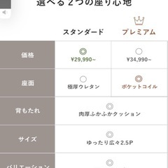 2024年に購入したばかり！2.5pソファーの画像
