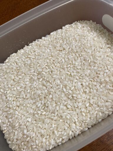 ⑨番専用　新米販売受付（新規受付は終了しております）
