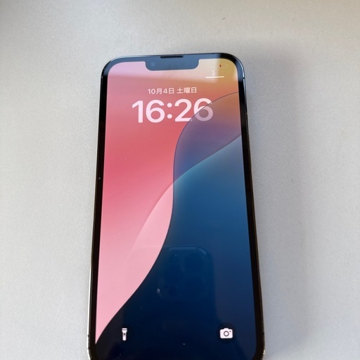 iPhone iPhone13pro 256GB