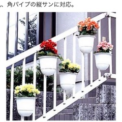壁掛けポット&縦サン用フック2組の画像