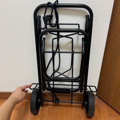 キャリーの画像
