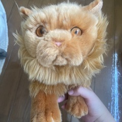 USJ  ハリーポッター　ぬいぐるみの画像
