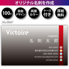 名刺印刷 100枚 両面 フルカラー 紙ケース付 No.0087