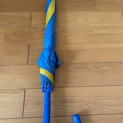 ディズニーランド記念傘　レトロの画像