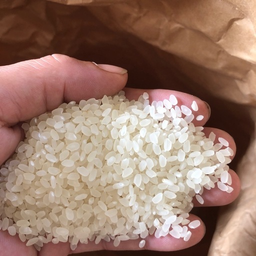 (決定済)R6年度　なつほのか　30kg