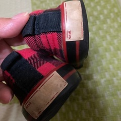 17センチ　記名ナシの画像