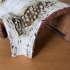 爬虫類用 シェルターの画像