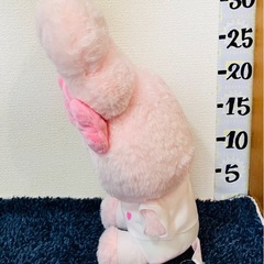 #未使用#エスターバニー#パジャマパーティー#LL #ぬいぐるみ#クレーンゲーム#UFOキャッチャー#景品#大きい#ビッグ#ラウンド1#10月の画像