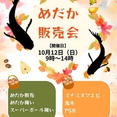 10月12日　めだか販売会