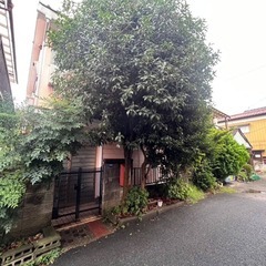 【庭木伐採で安心の暮らしを】放置した木もプロの手で安全に整備！