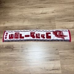 ファジアーノ岡山 応援タオル　2024 マフラータオルの画像