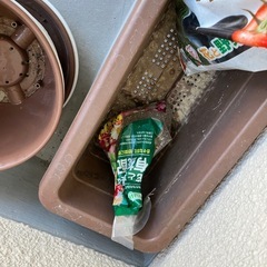 植木鉢　　土の画像
