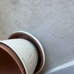 植木鉢　　土の画像