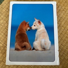【学研】犬の図鑑の画像