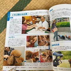 【学研】犬の図鑑の画像