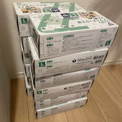 プラスチック手袋　Lサイズ　12個の画像
