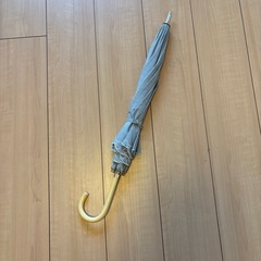 日傘の画像