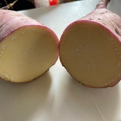 採れたて野菜セットの画像