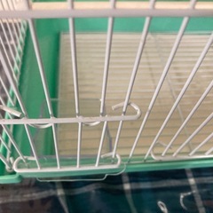 （取引中）鳥かごをお譲りします（小）の画像