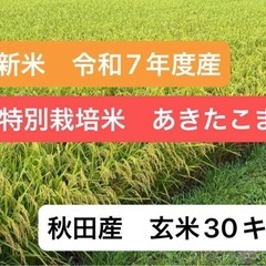 令和7年度　新米　特別栽培米　あきたこまち　玄米 秋田県横手産　　残りわずかの画像
