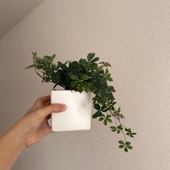 フェイクグリーン 消臭効果ありの画像