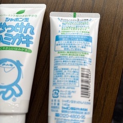 歯磨き粉と泡フッ素コートセットの画像