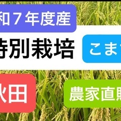 まもなく完売間近★令和7年　新米　あきたこまち　特別栽培まい米の画像
