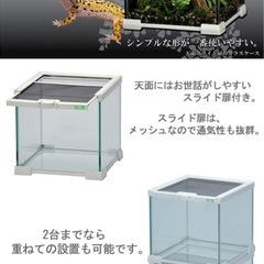 三晃商会　グラスゾーン 20-WH ホワイト 爬虫類ケージ 水槽の画像