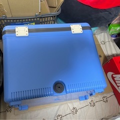 クーラーボックス‼️２４L ‼️ちょうどいいサイズびっくりの画像