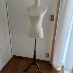 トルソー　マネキン　高さ調節可能の画像