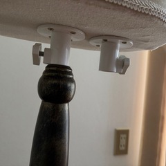 トルソー　マネキン　高さ調節可能の画像