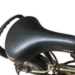 🚲CHEVROLET シボレー　キッズ自転車の画像
