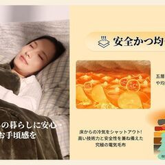 【決まりました】【未開封】電気毛布 掛け敷き兼用 タイマー付の画像