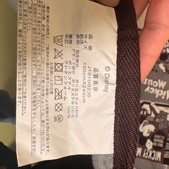 ミッキーマウス　カーペットの画像