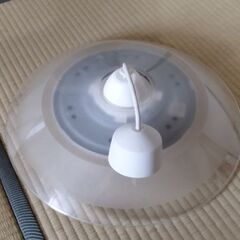 電気傘の画像