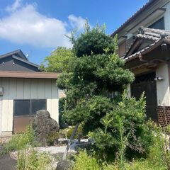 【即日可！】草刈り伐採スタッフ募集中！福岡県の画像