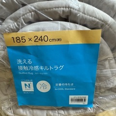 洗濯済美品✨【ニトリ】デコホームNクール 接触冷感キルトラグ 185x240cmの画像
