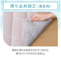 洗濯済美品✨【ニトリ】デコホームNクール 接触冷感キルトラグ 185x240cmの画像