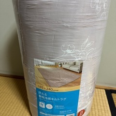 洗濯済美品✨【ニトリ】デコホームNクール 接触冷感キルトラグ 185x240cmの画像