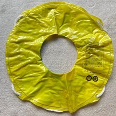浮き輪 ディズニーの画像