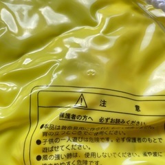 浮き輪 ディズニーの画像