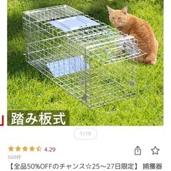 猫　捕獲　迷子　捕獲器　の画像