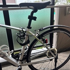 ジャイアントの画像
