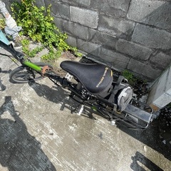 tern LINK D16の画像