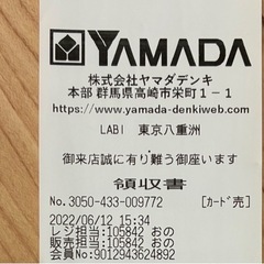 4Kテレビ　フナイ FL-43UF340 2022年　　の画像